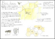 Ｂｅｅ　ｈｏｕｓｅ