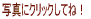 ʐ^ɃNbNĂˁI