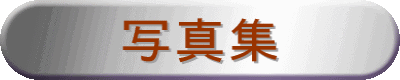 ʐ^W